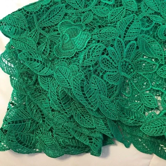 TADASHI SHOJI Jade Green Embroidered Lace Fluted Flare Midi Dress size 6P petite